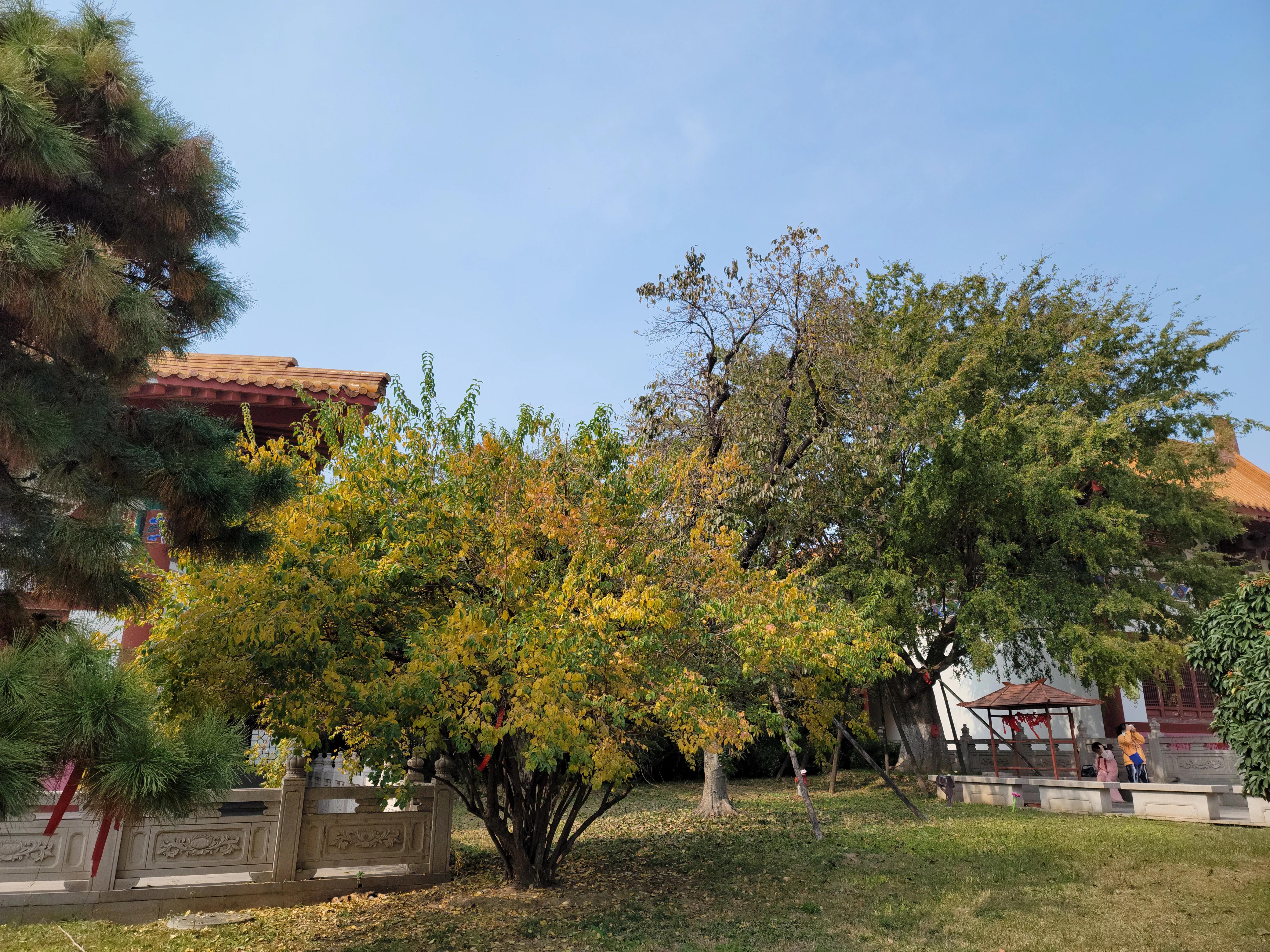 蟠桃山佛教文化景区门票预约,蟠桃山游览图