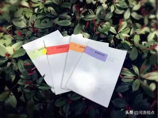 洛阳市第一实验小学校长李青青,洛阳市实验小学校长李青青简历