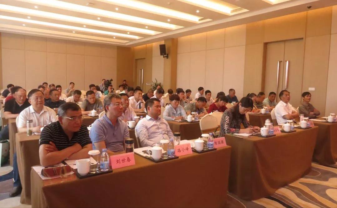 种植摇钱树致富经,荒山种植摇钱树