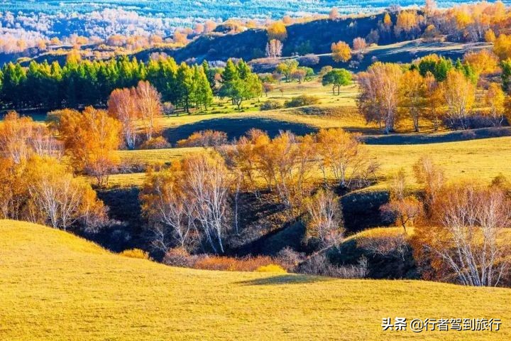 冬季克旗旅游自驾游攻略,克什克腾旗看秋色攻略