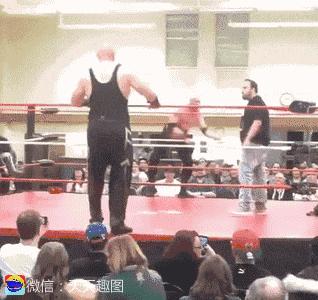 搞笑动图gif女司机,搞笑动图gif微信表情包