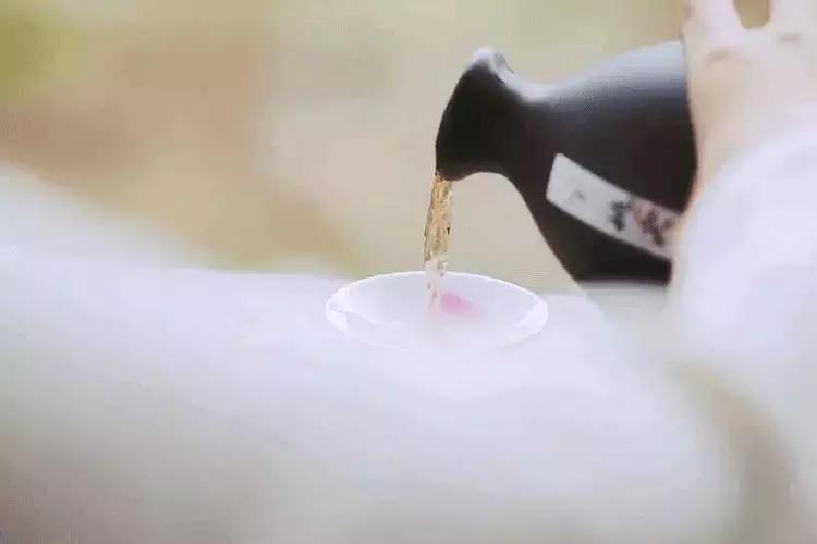 【美文共享】春天，人间皆可爱