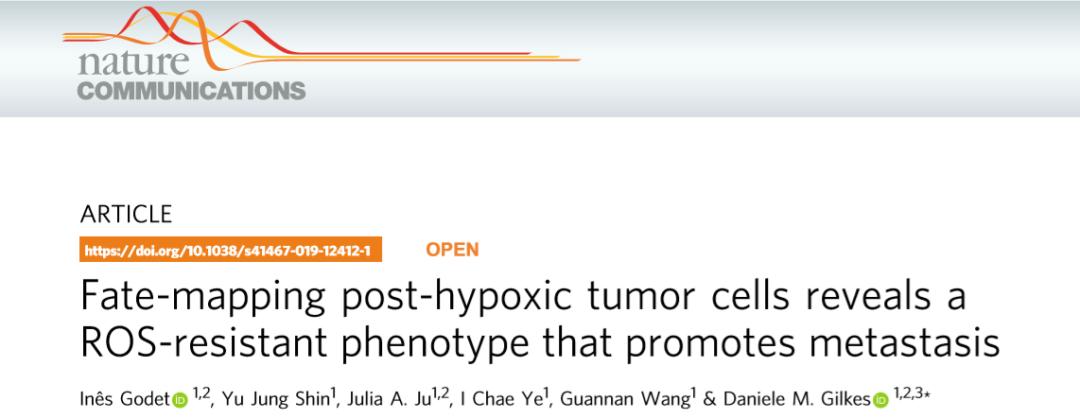 缺氧对肿瘤的影响,缺氧与癌症的关系