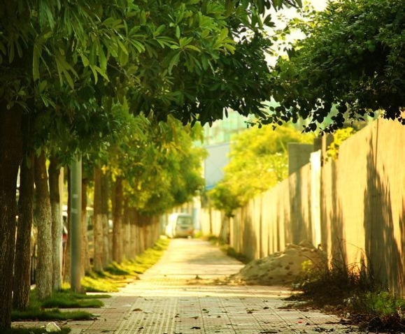 我不想当好后妈了怎么办,我不想做后妈