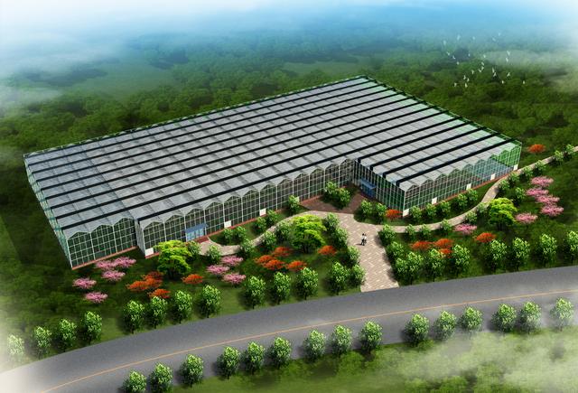 单栋温室大棚建设造价多少钱,连栋温室大棚造价多少钱一平