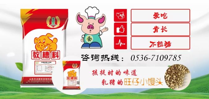 农业农村部今日猪价,农业农村部猪价最新发布的消息