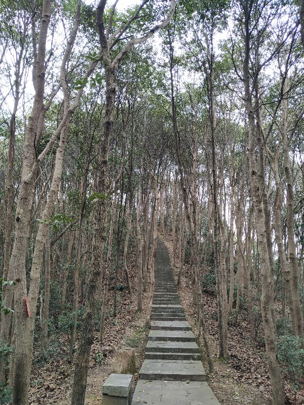 杭州市周末自驾游去哪里好玩,杭州出发周末旅游攻略