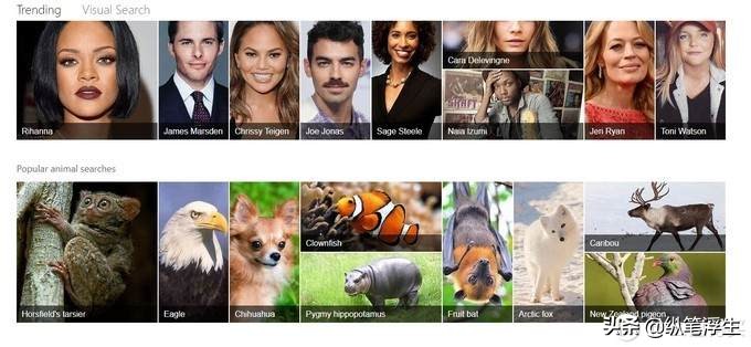 windows桌面壁纸动态,win7桌面动态壁纸美化