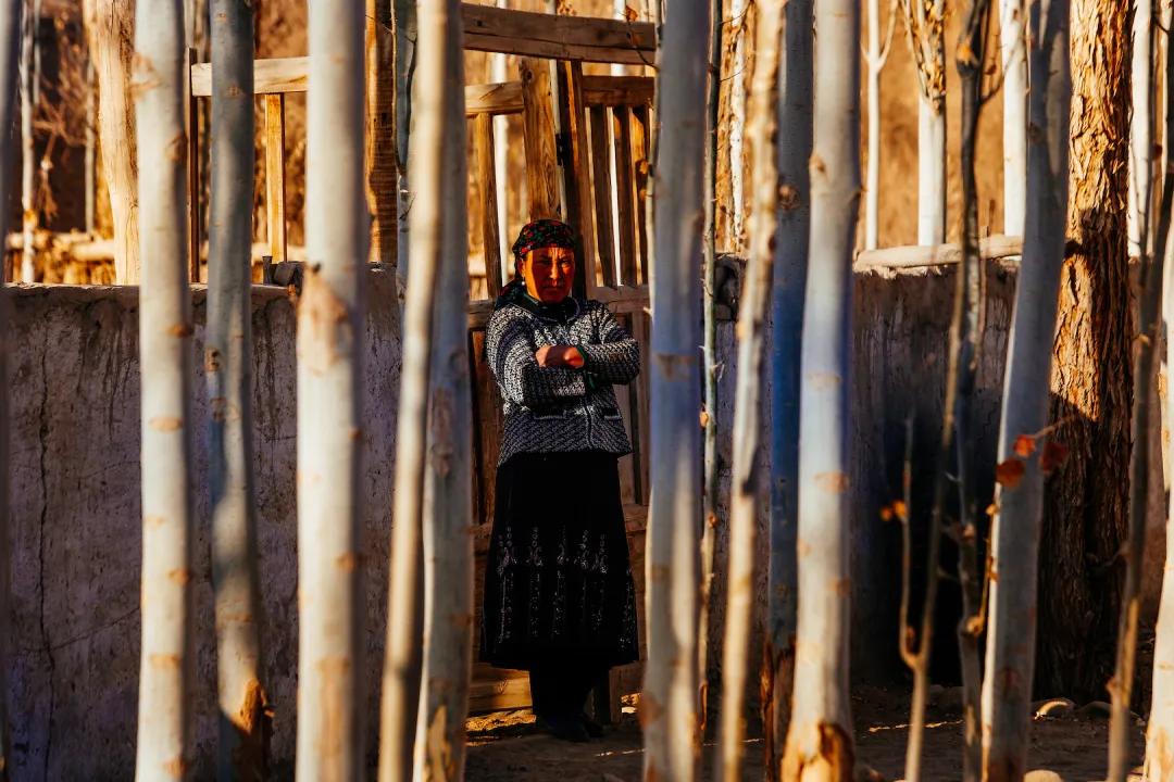 尼雅五星东方口碑,尼雅五星东方赤霞珠干红葡萄酒