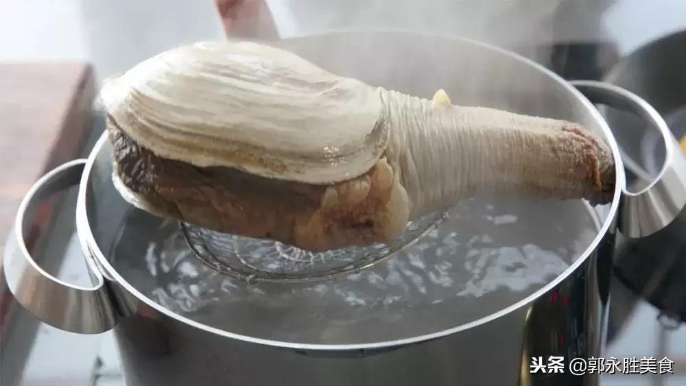 长相难以启齿的象拔蚌,当年餐桌上可是炙手可热!