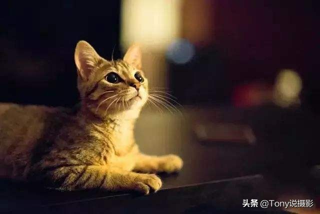 光圈摄影入门教学视频,摄影光圈快门感光度使用技巧