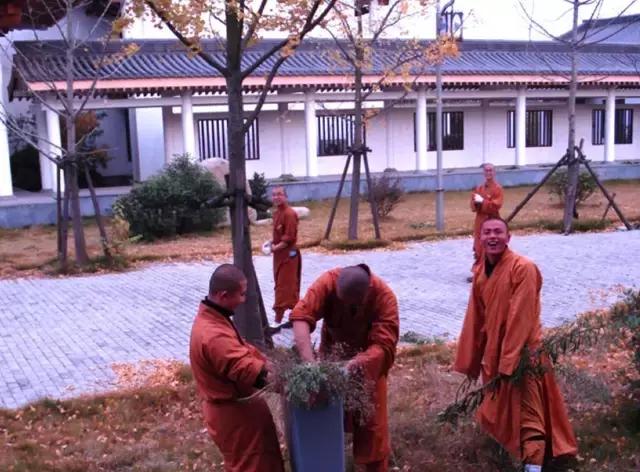 农禅并重完整版,农禅并重的寺院