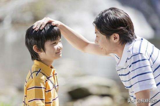 怎样让调皮的猫咪变得听话,如何让家猫变乖