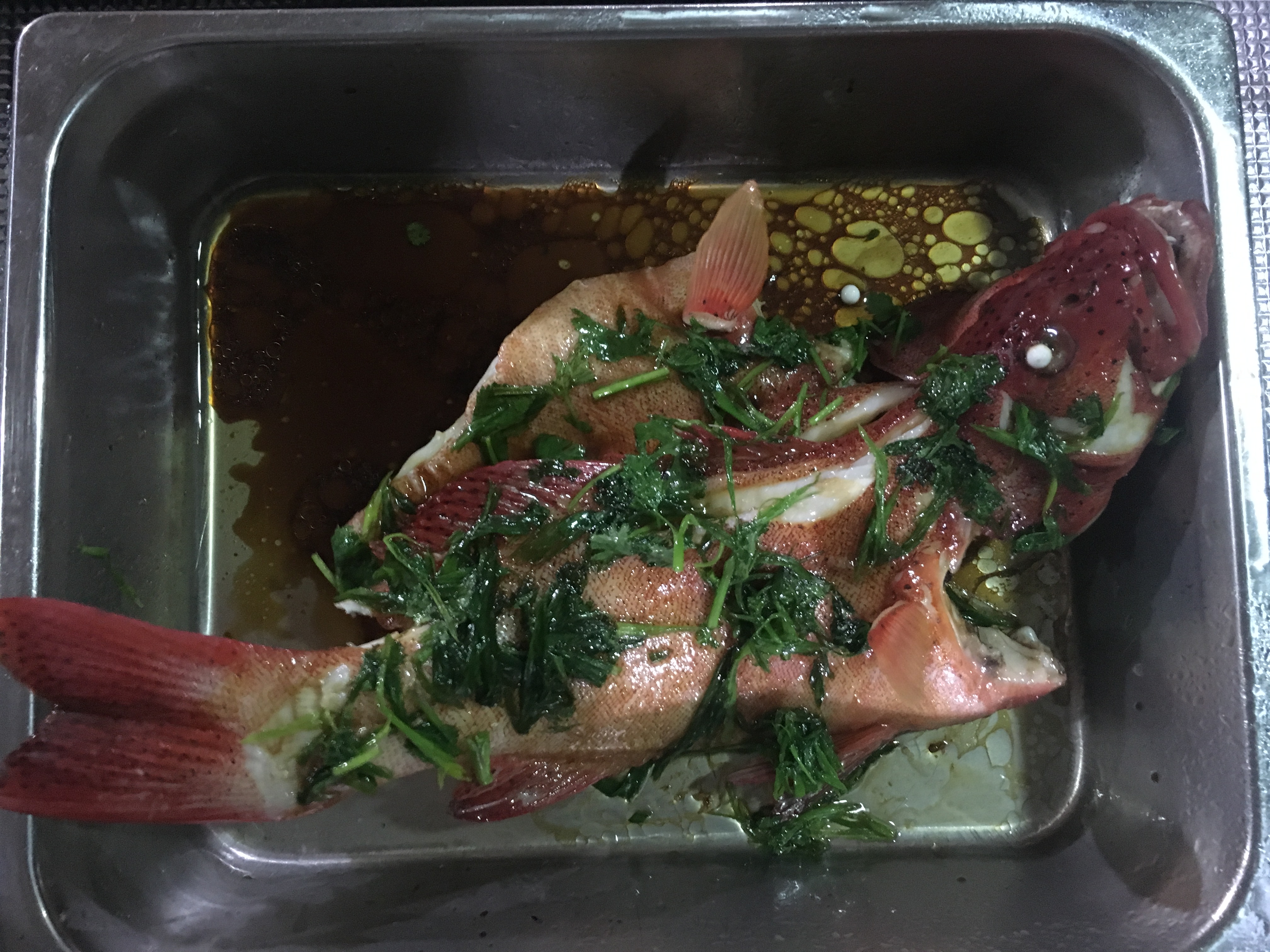 玩转沙巴海钓攻略,沙巴近海海钓