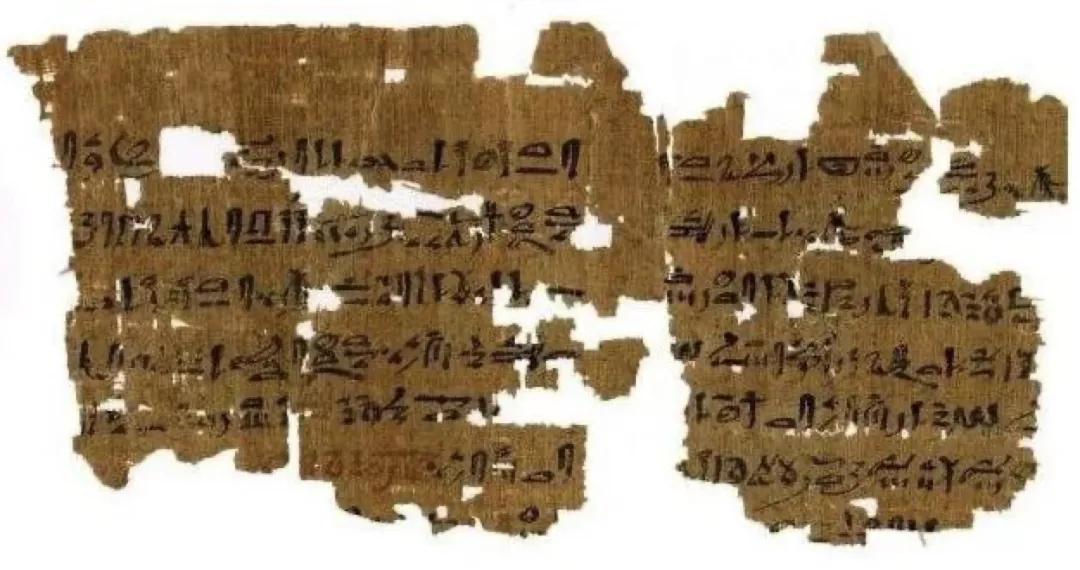 青蛙也能当验孕棒吗？60年前，它被当成人类的“活体验孕棒”