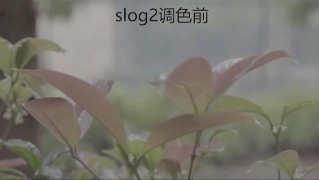 新手入门拍摄的视频,新手入门拍视频要买什么
