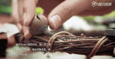 她31岁放弃北漂，回归自然，用枯枝败叶，打造了一个梦幻森林