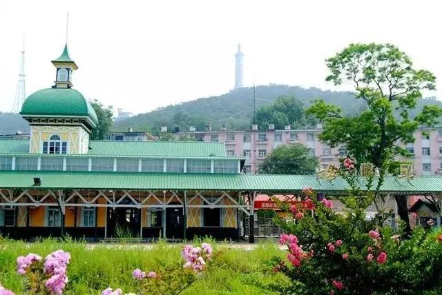 大连免费旅游景点冬季,大连过年免费景点大全