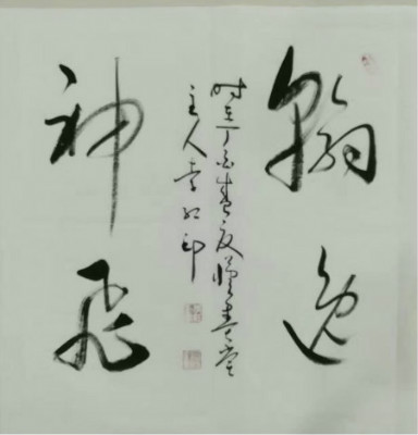 不须扬鞭自奋蹄上一句,李红印视频