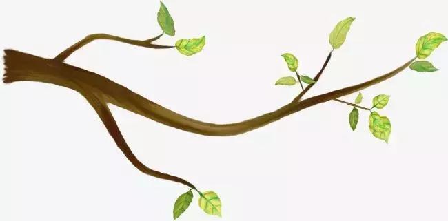 述职述责报告怎么写,年终述职述廉报告怎么写