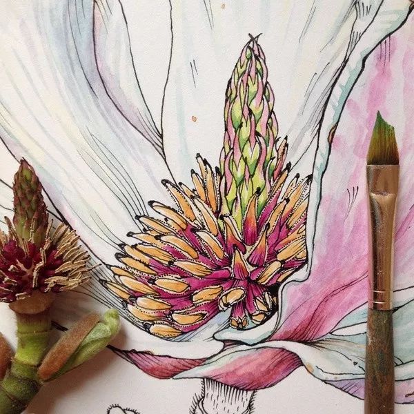 简单针管笔手绘花,简单易学针管笔手绘