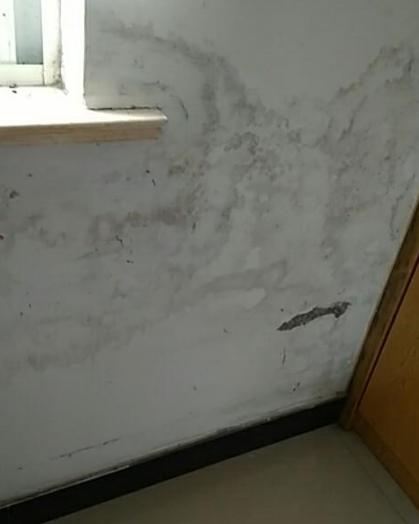墙面返潮的原因及解决办法,墙面返潮彻底解决方法