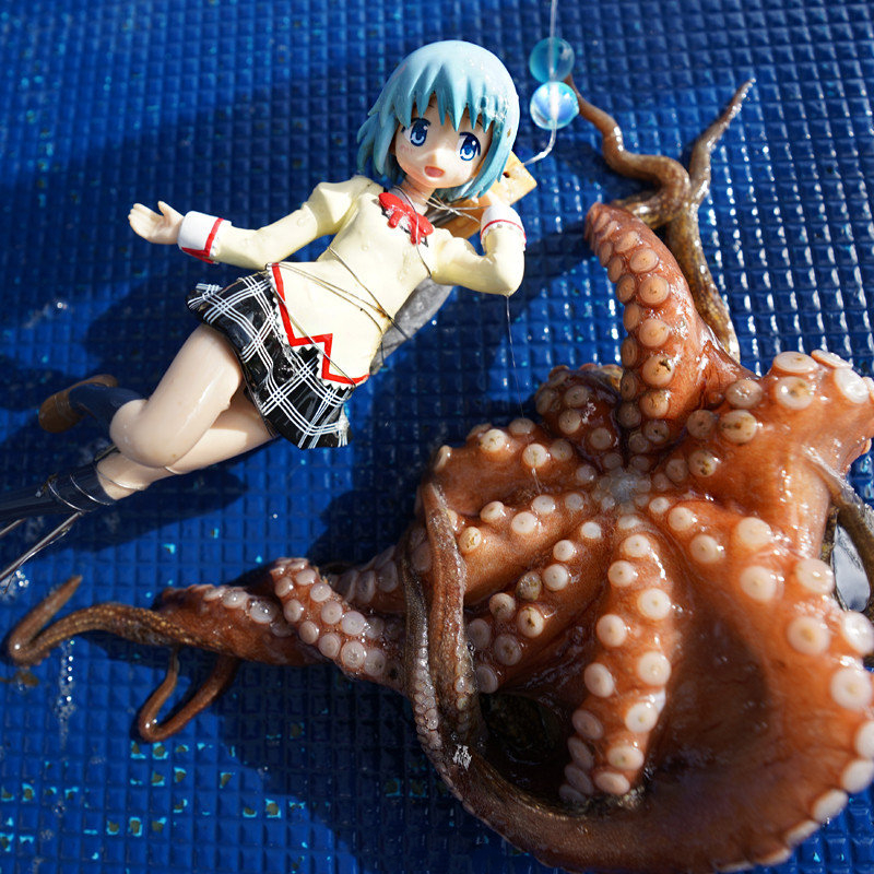 泡面压手办真的能压泡面吗,可以用来压泡面的手办