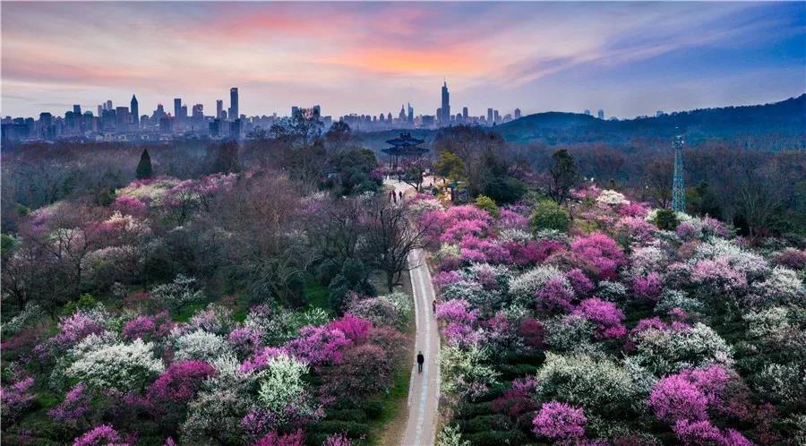 骄傲中国推荐理由,南京入围全球最佳旅游地