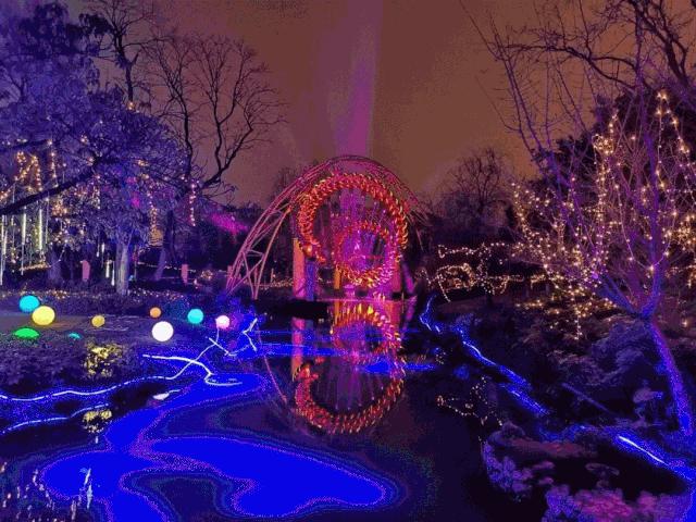 成都首条夜环线，太太太太好玩了！