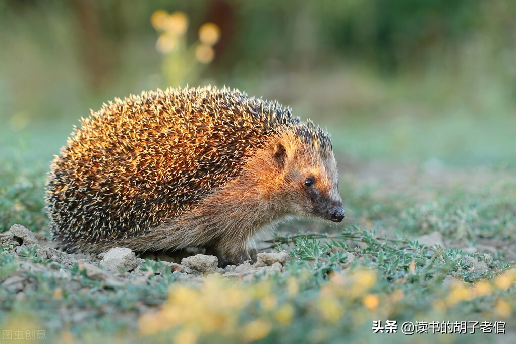 中年人怎么排解消极情绪,中年人怎样排除负面情绪