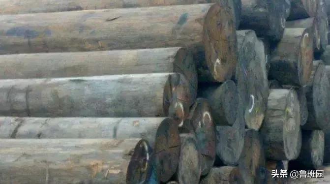 木材的主要缺陷,木材缺陷有哪些