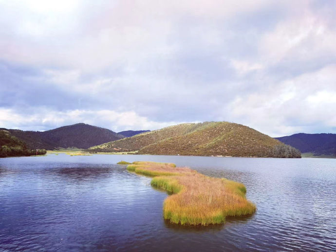 跟团云南旅游六日游花费多少钱啊,去云南七日游跟团旅游多少钱