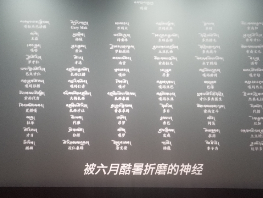 撞死了一只羊影评,撞死了一只羊主题分析