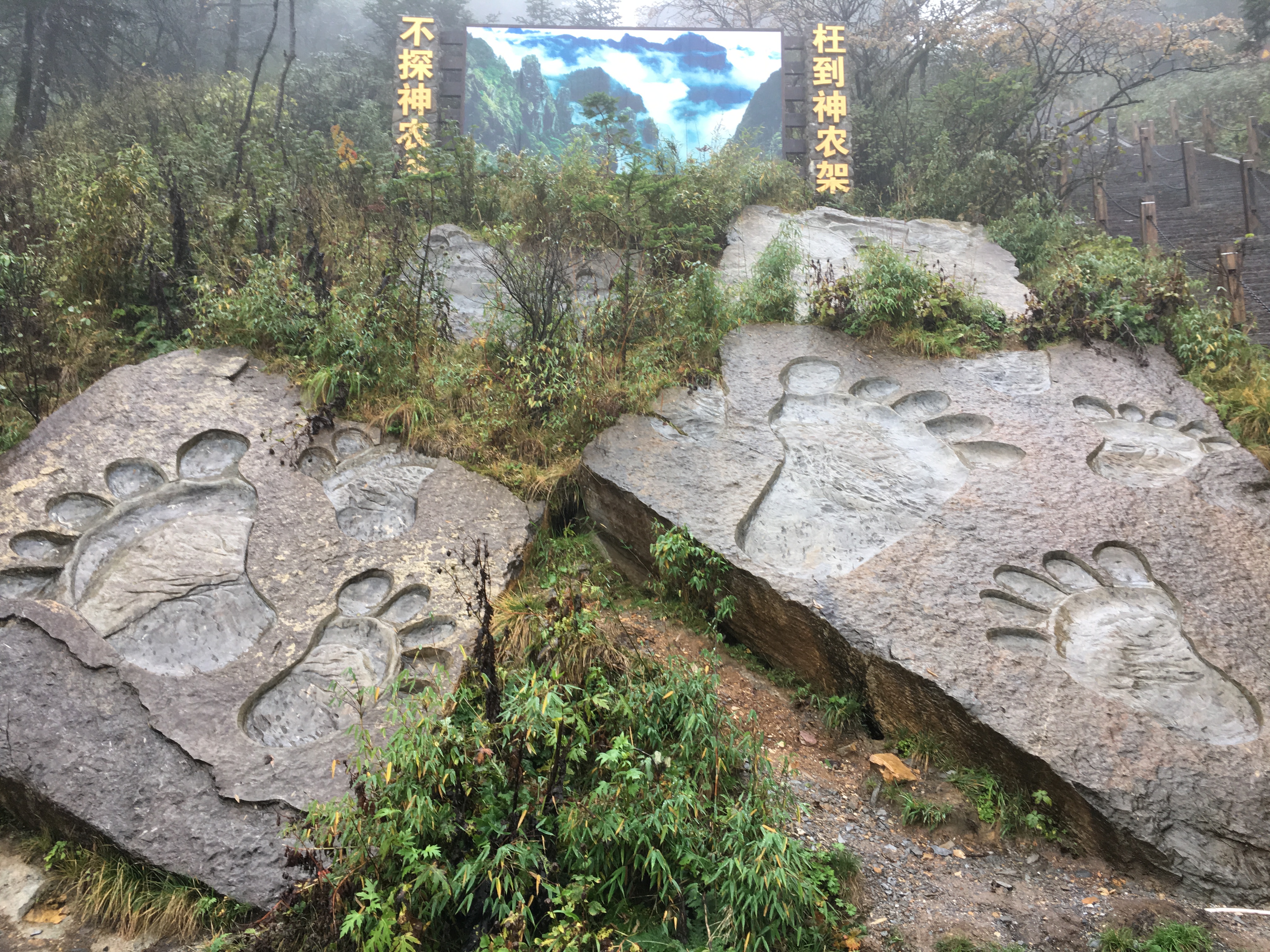雨中神农架探秘之旅｜国庆节武汉至神农架自驾游攻略分享