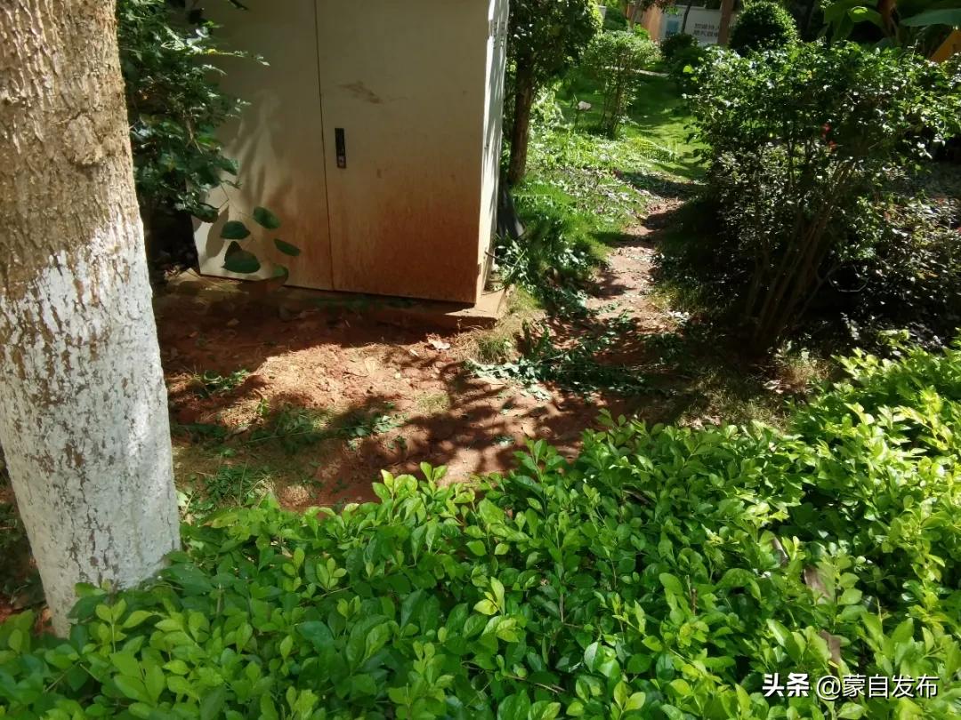 文明创建物业,社区物业文明创建工作存在问题