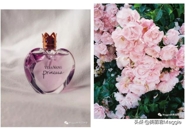 maggie的美丽日记 (maggie的美丽物语真实感受)