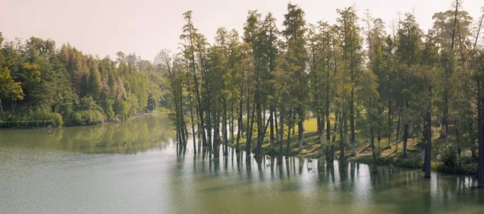 南昌12月必游景点大全,暑假南昌一日游必去的5个景点
