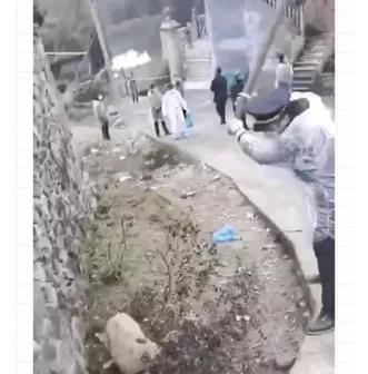 105岁病毒感幸存者发出警告：抗疫两个月，我们已重复了9个错误