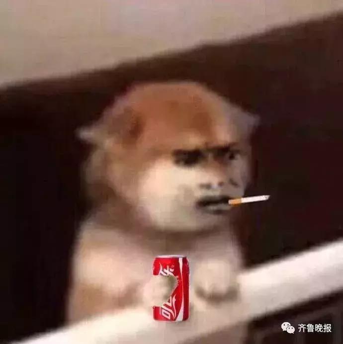 网店店主代购*税逃**300万被判10年，罚款550万！冤吗？