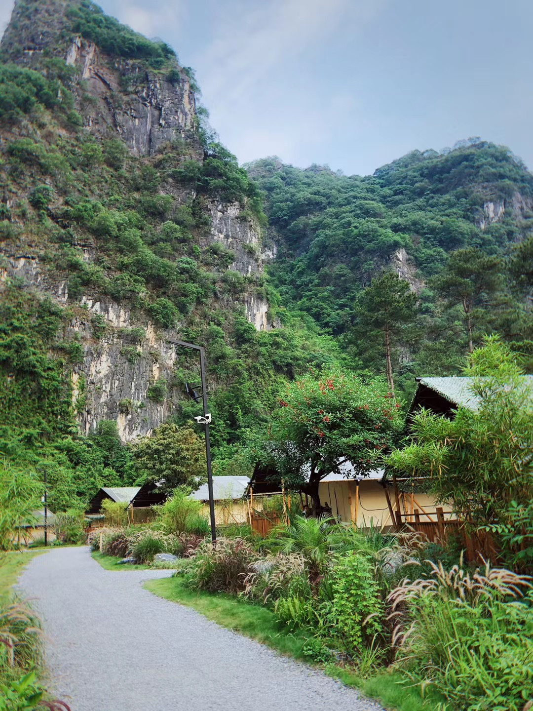 露营基地广州旅游住宿攻略,旅游帐篷露营攻略广州
