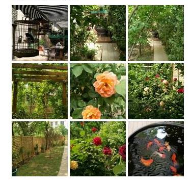 杨幂在北京的豪宅,杨幂住在北京豪宅是在哪里