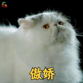 教改后学区房还会热吗,教改之后的初中和高中