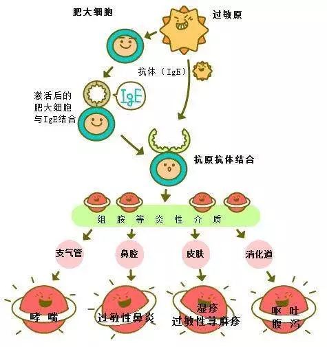 酮替芬不能和什么药一起吃,酮替芬是处方药吗