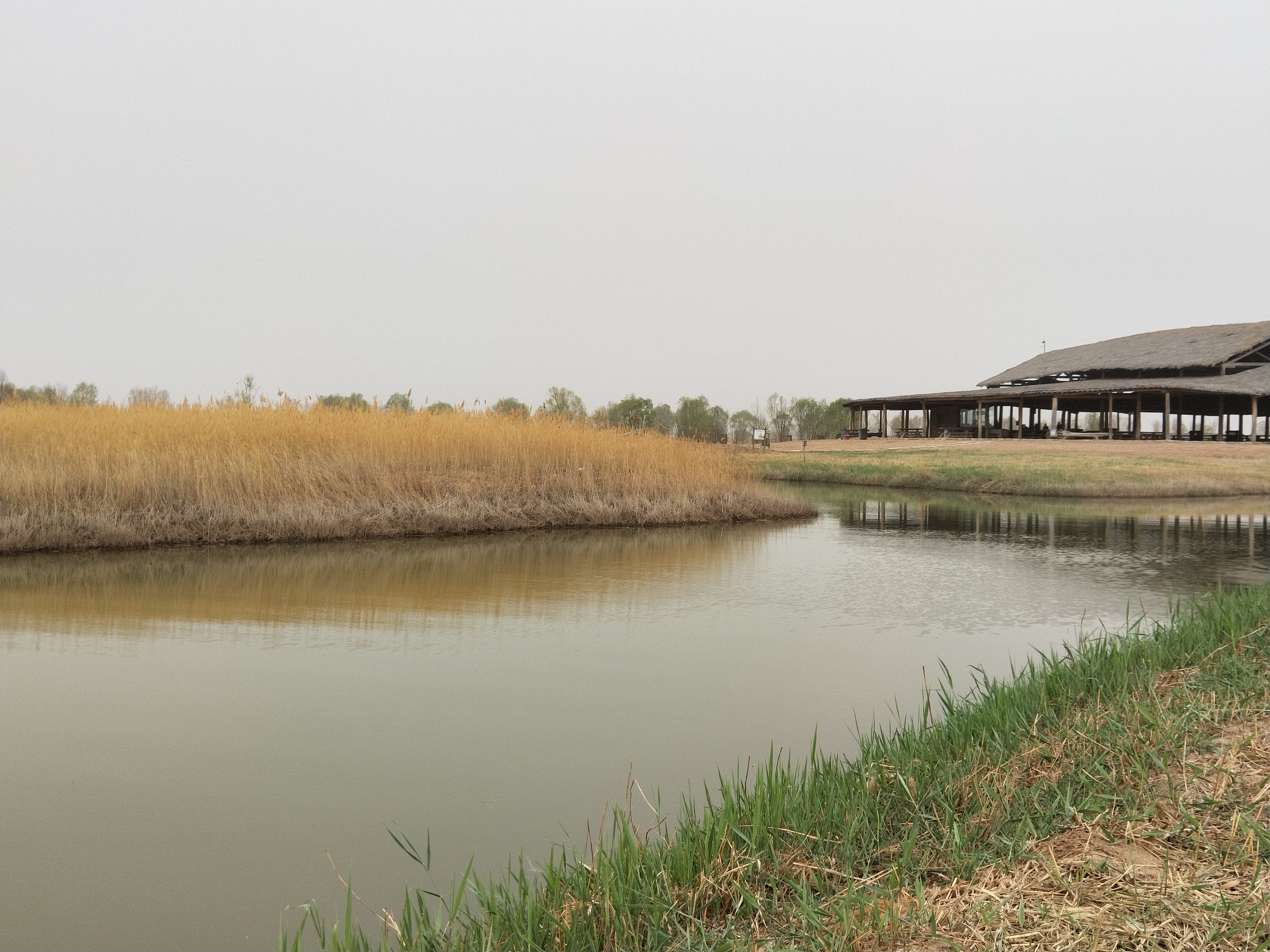 宁夏黄沙古渡游,银川好玩的地方推荐黄沙古渡
