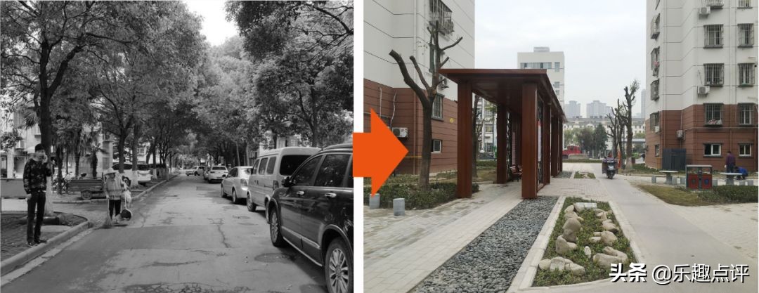 共同缔造美丽乡村先行区,共同缔造美丽家园短视频