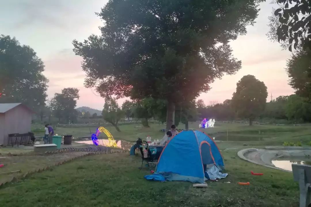 紫薇园宿州露营音乐节,中华紫薇园露营