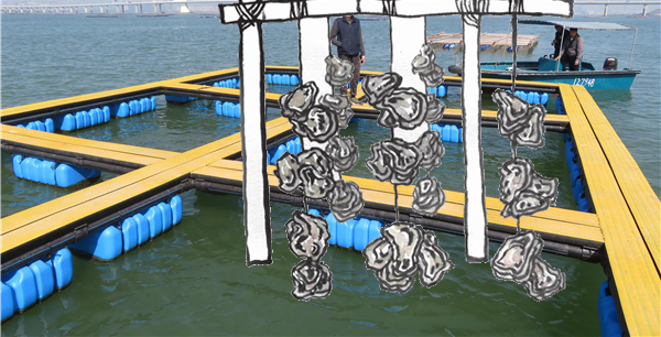 一个世界上还没有人想过的主意——超级塑料瓶船