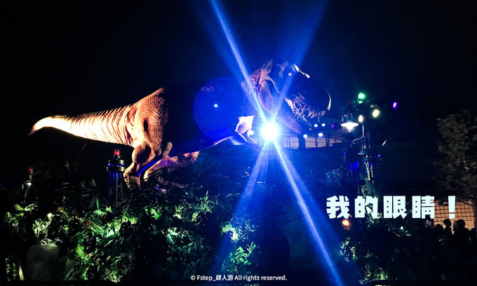 关西初游攻略丨奈良!京都!大阪!GO!USJ(下篇)