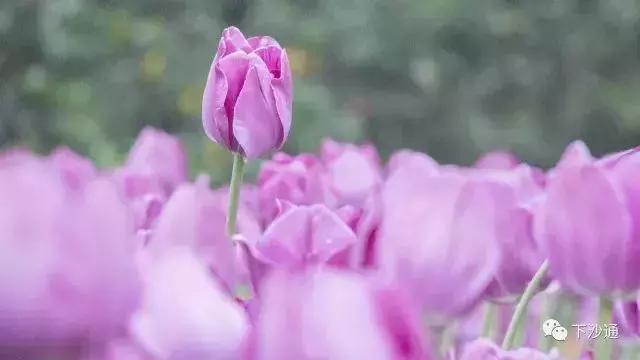 几十块钱玩一天,几十块钱玩一天天津