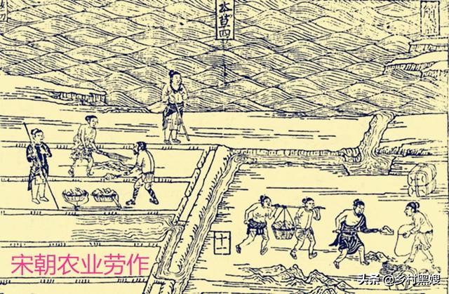 蔬菜茄子哪里来的？是国产吗？一口气搞懂茄子的前世今生